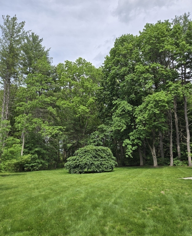 135 Williams Rd