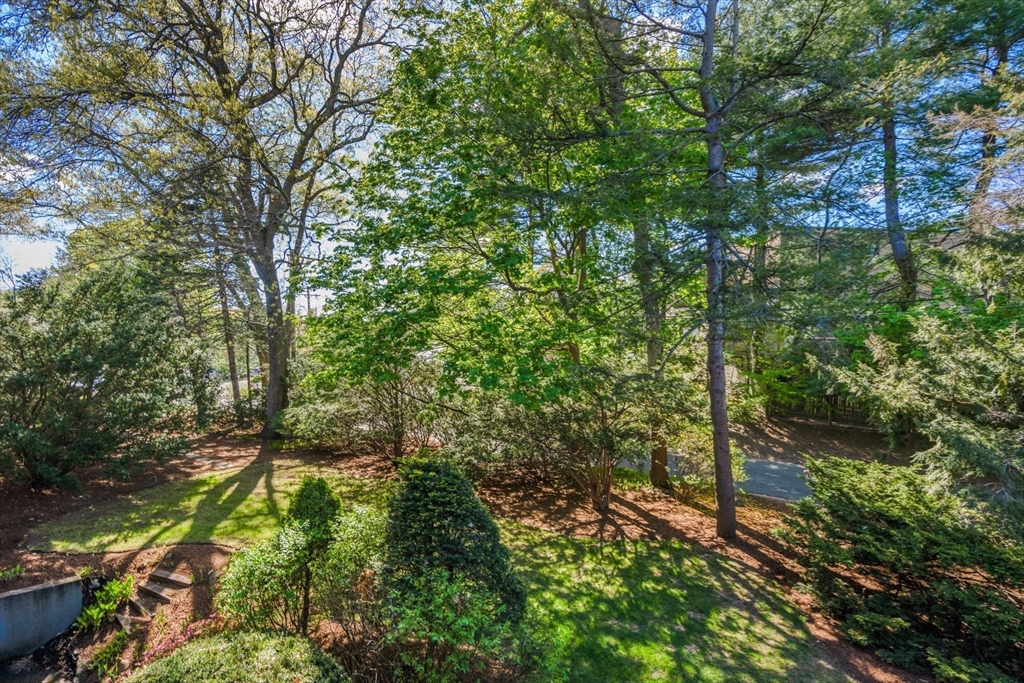 1202 Greendale Avenue #124, Needham, MA Photo #7