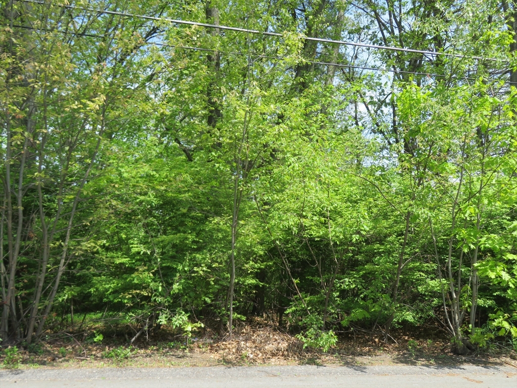 Lot 653 Farmington