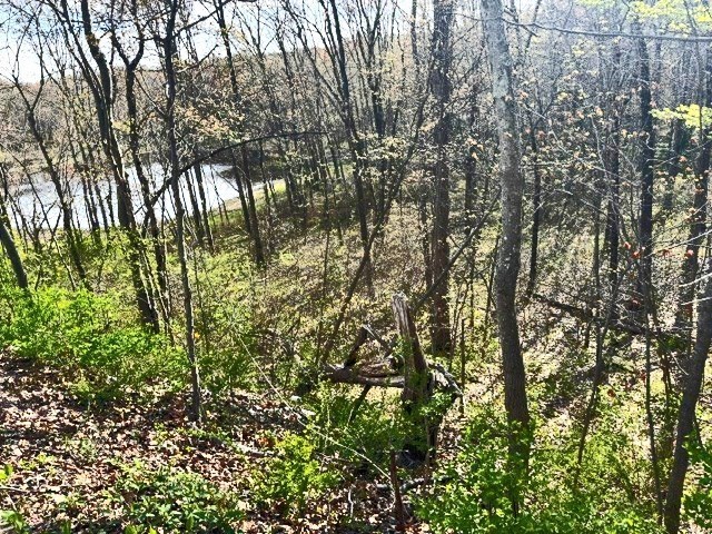 Lot 3 Gould Road