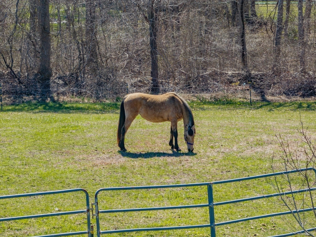 210 Charlotte White Rd