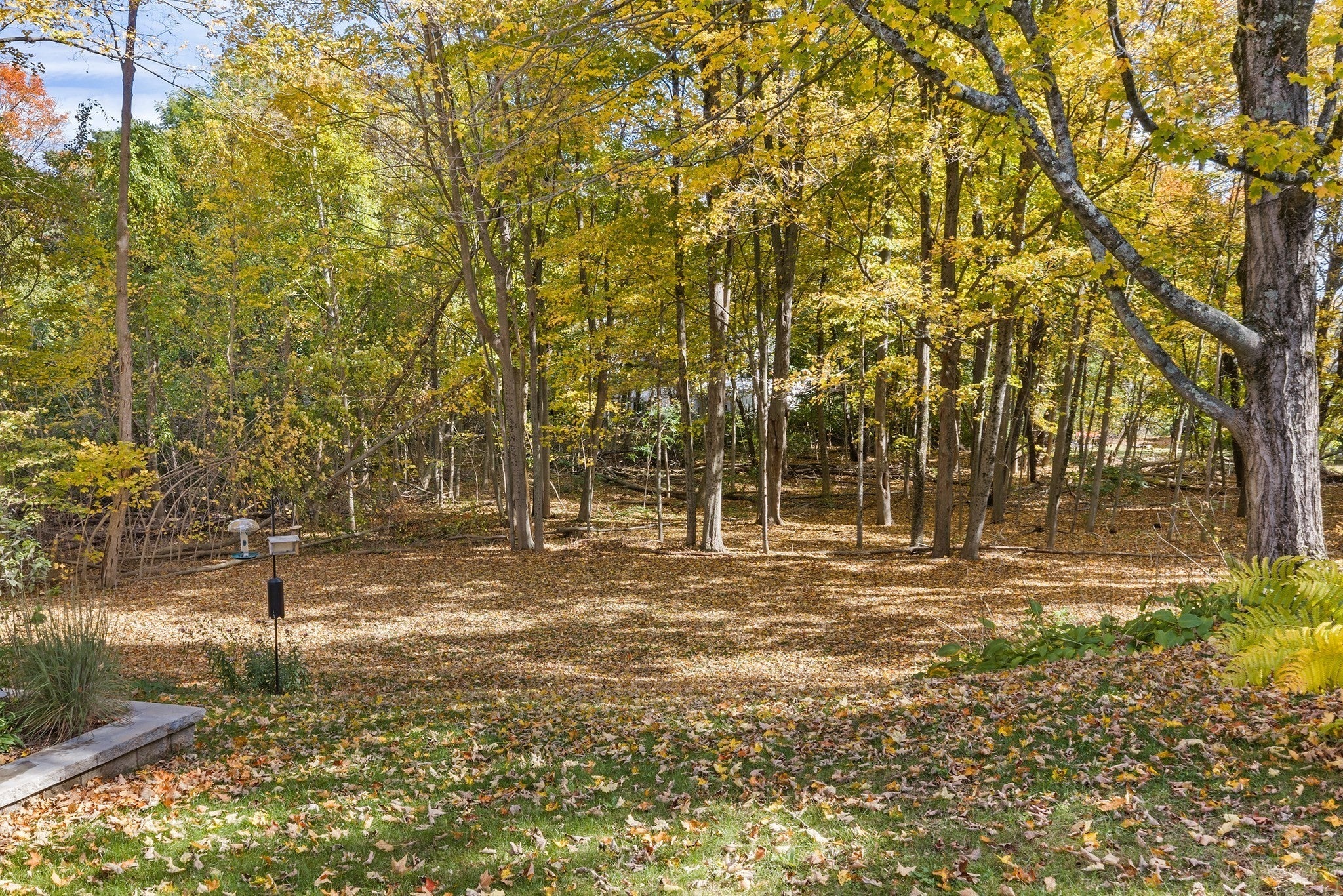 193 Exchange St, Millis, MA, 193 Exchange St, Millis, MA Photo #33