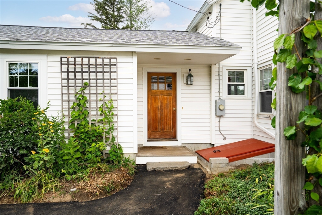 50 Williston Ave