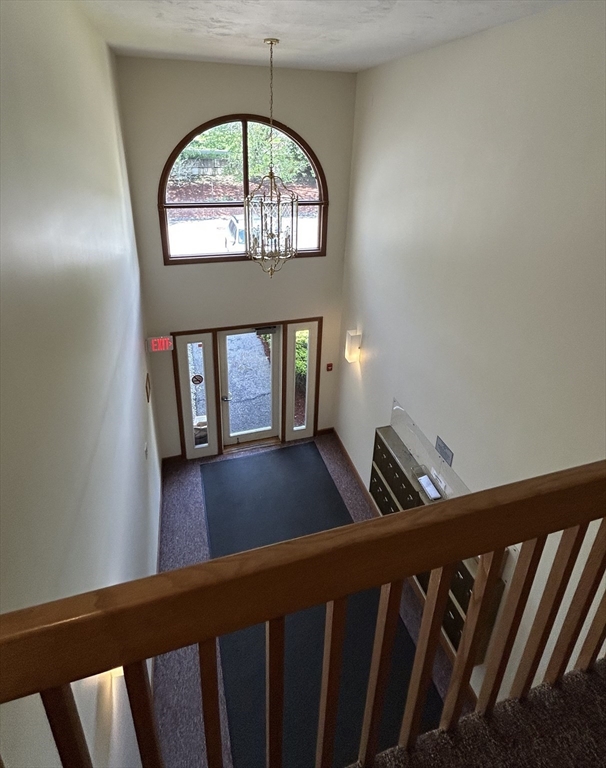 19 Rose Ct 19