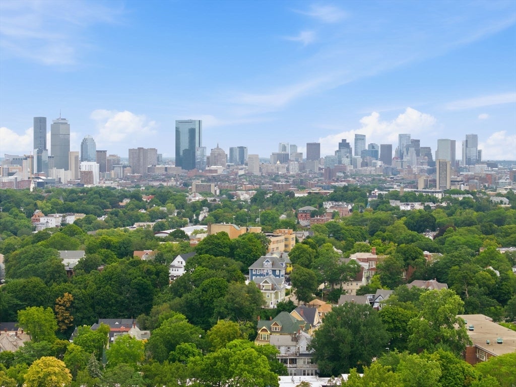 71 Walnut Park, Boston, MA Photo #19