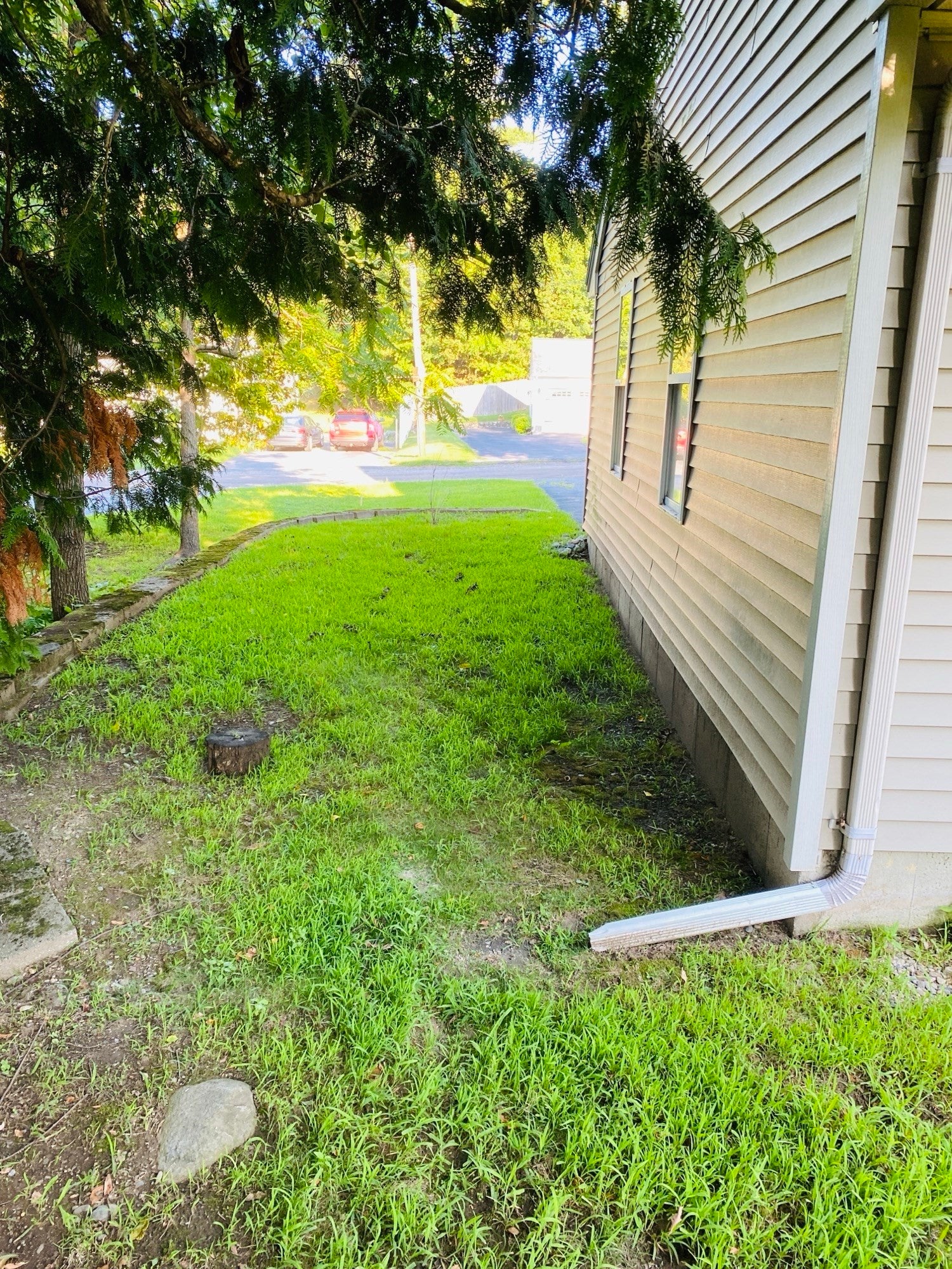 5 Nathaniel St #5, Worcester, MA Photo #12