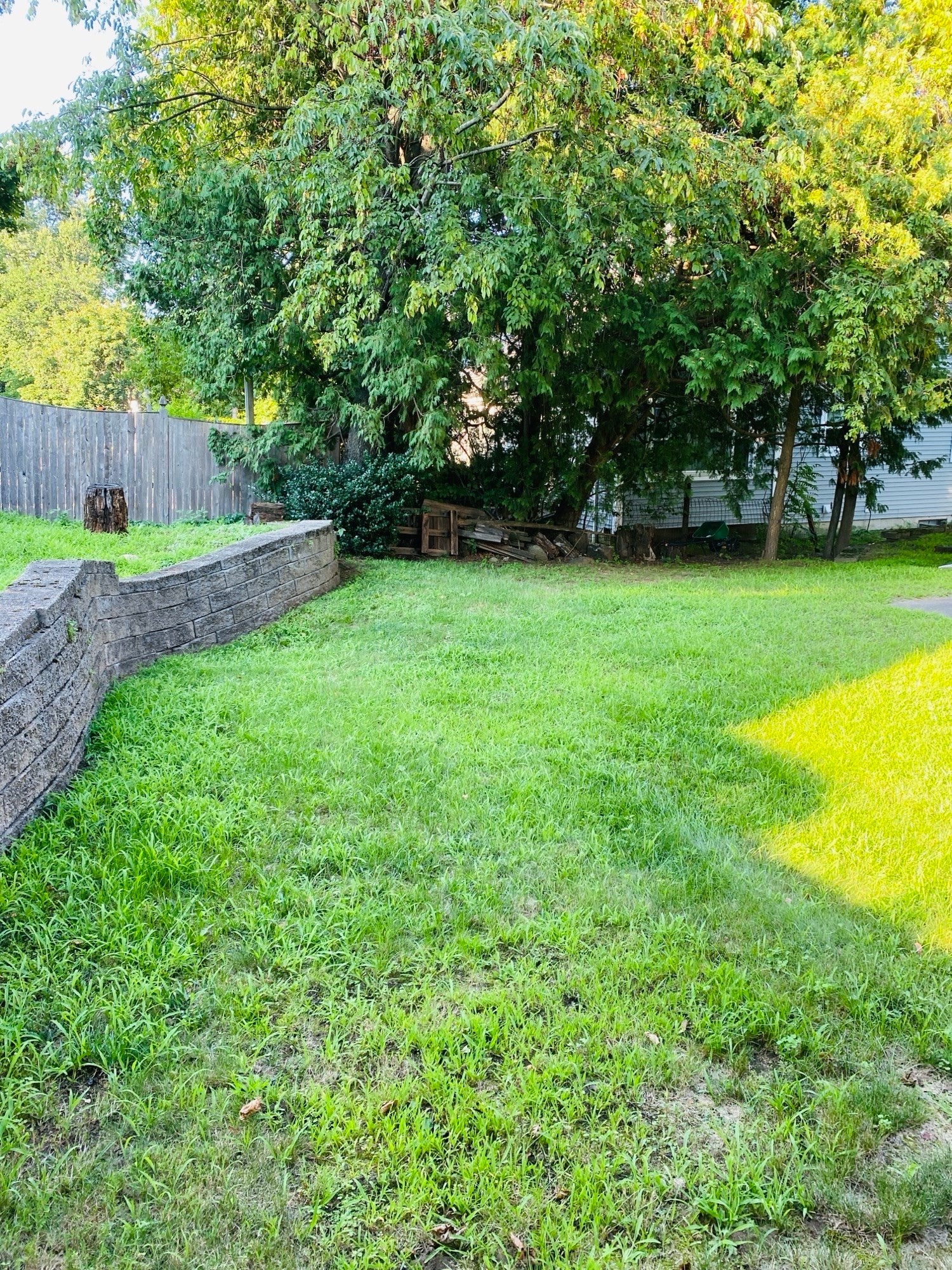 5 Nathaniel St #5, Worcester, MA Photo #7