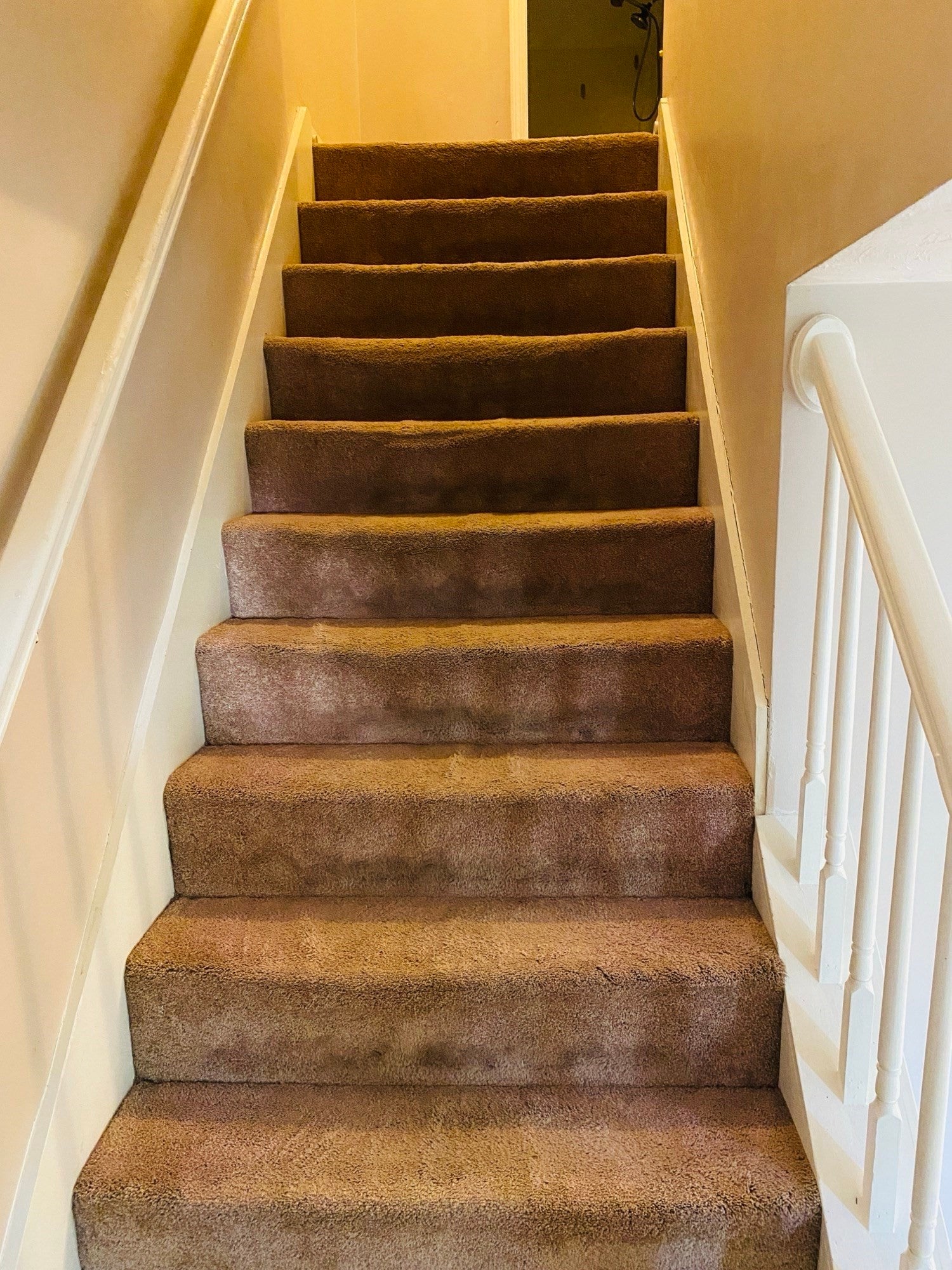 5 Nathaniel St #5, Worcester, MA Photo #20