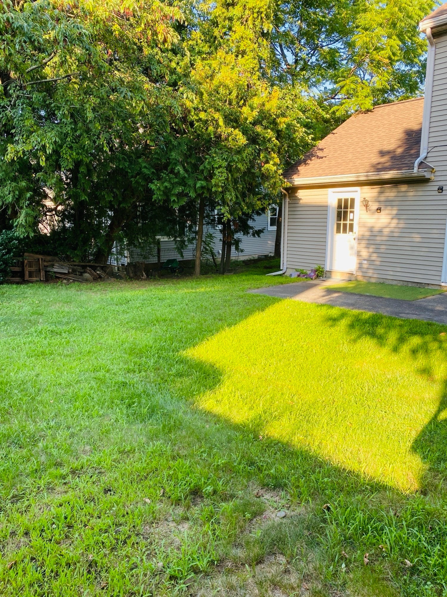 5 Nathaniel St #5, Worcester, MA Photo #6