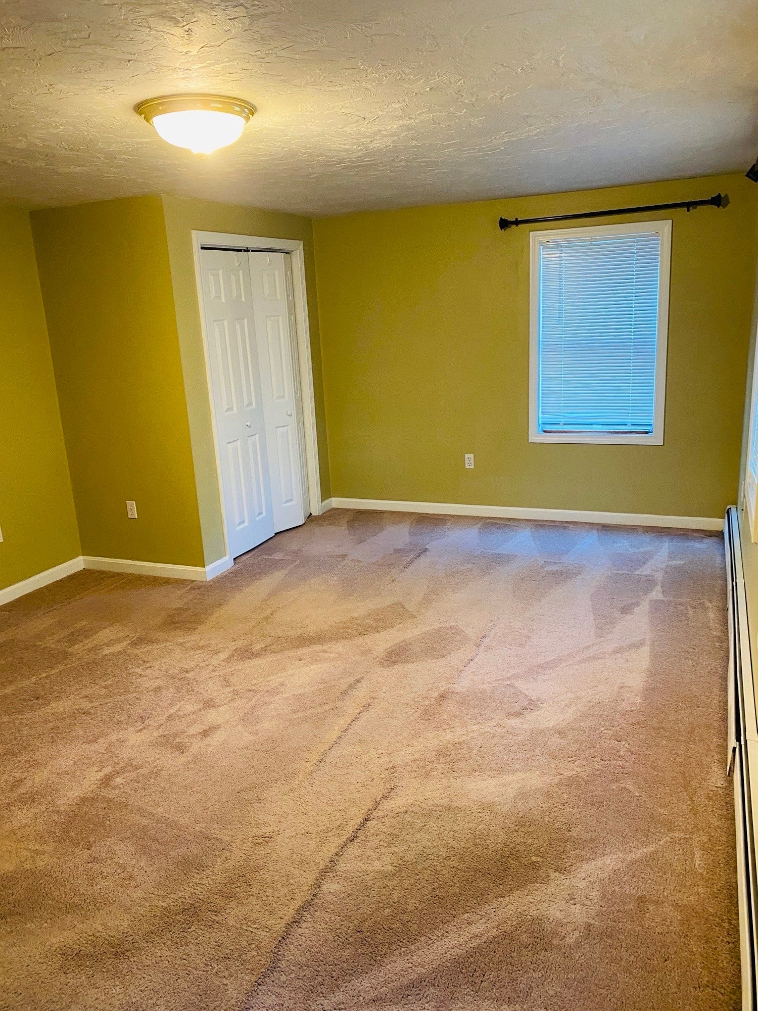 5 Nathaniel St #5, Worcester, MA Photo #28