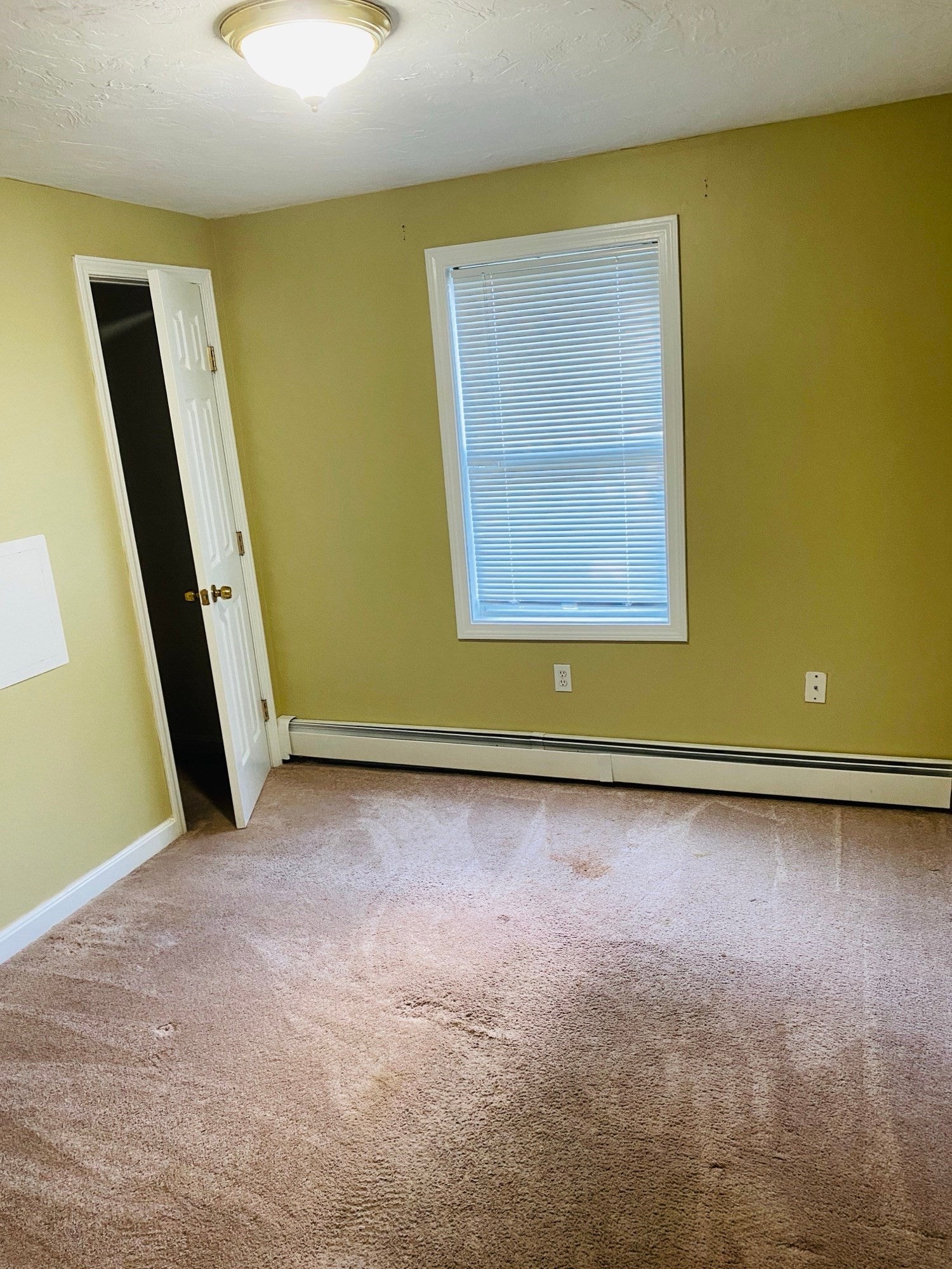 5 Nathaniel St #5, Worcester, MA Photo #26