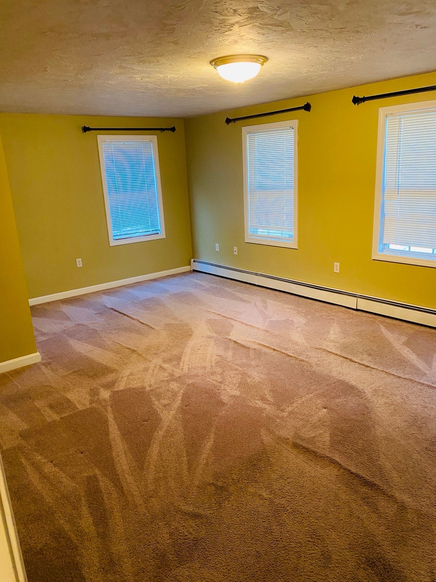 5 Nathaniel St #5, Worcester, MA Photo #23