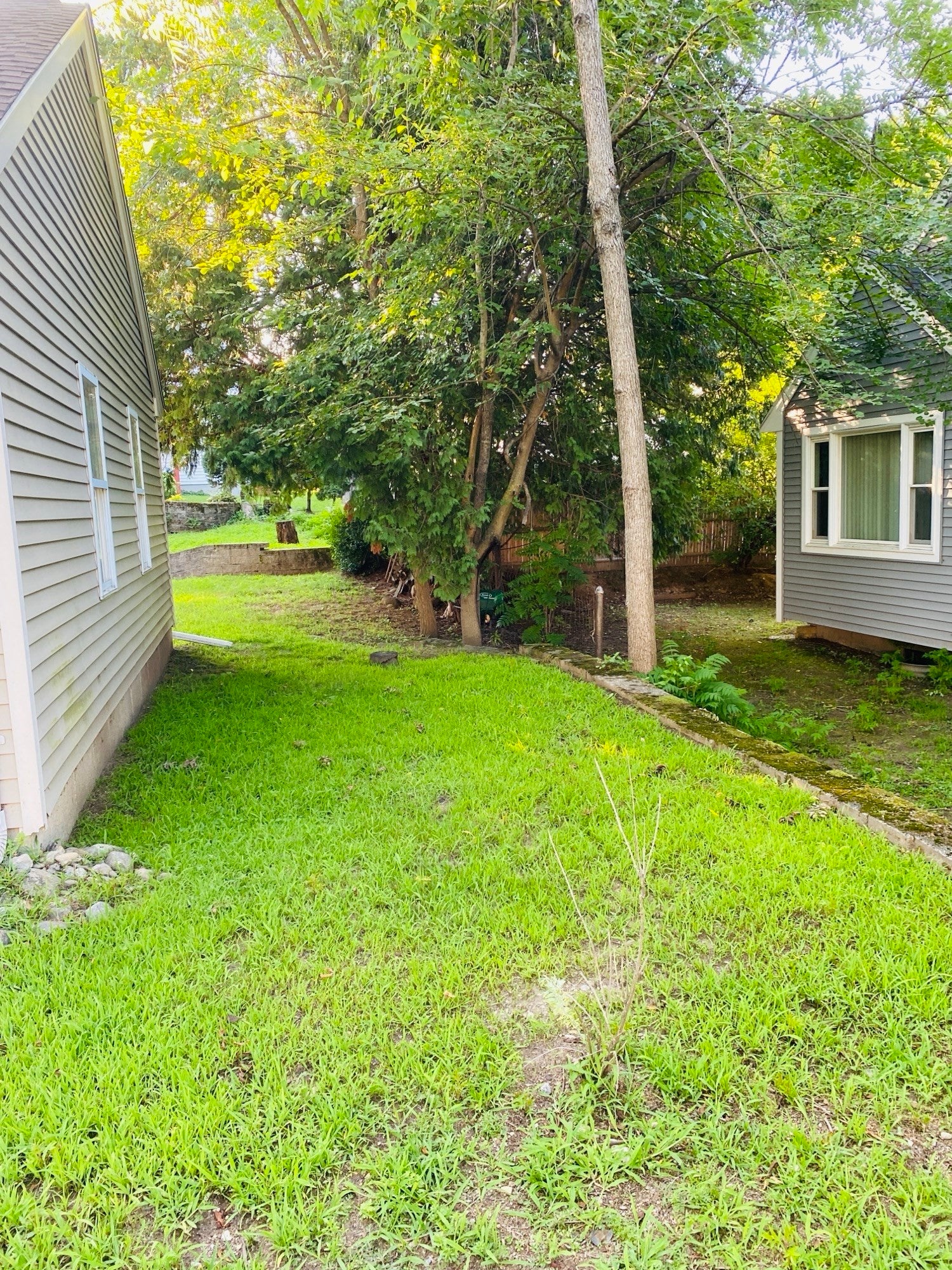 5 Nathaniel St #5, Worcester, MA Photo #3