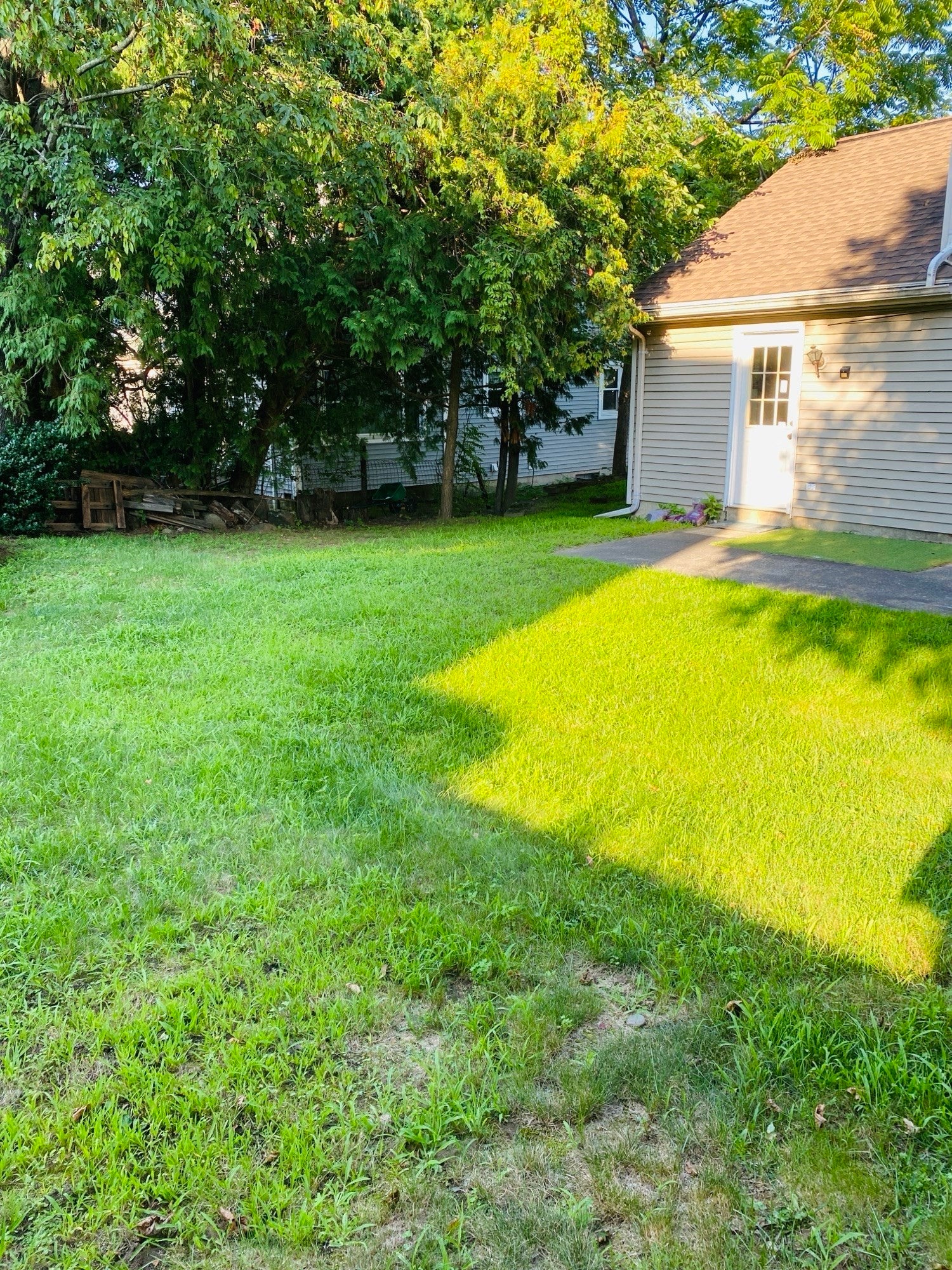 5 Nathaniel St #5, Worcester, MA Photo #8