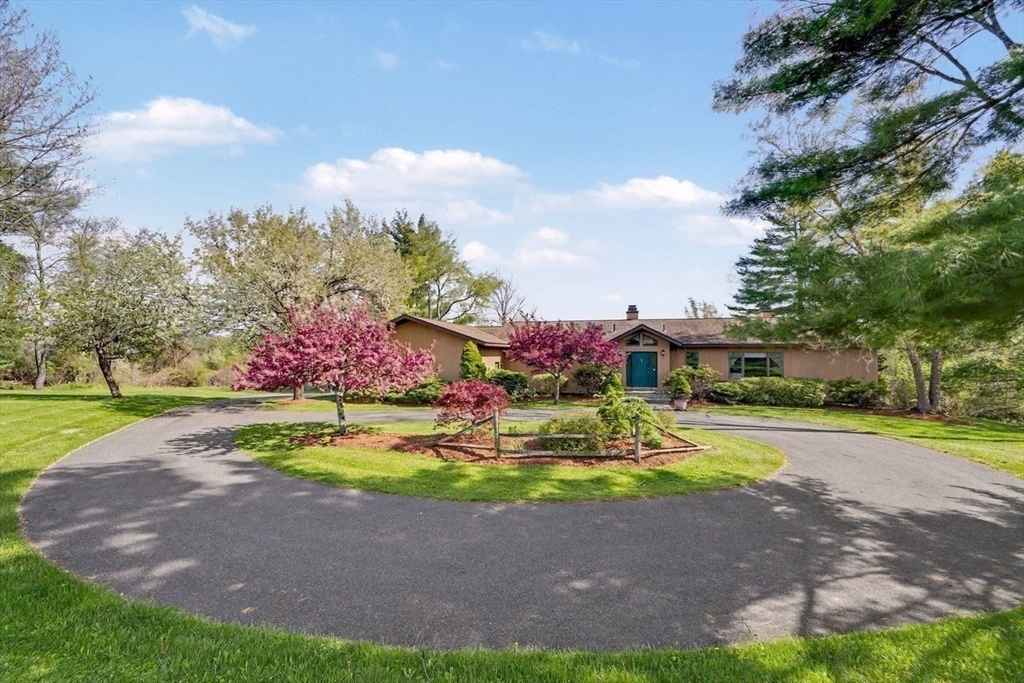 37 Kalliste Hill