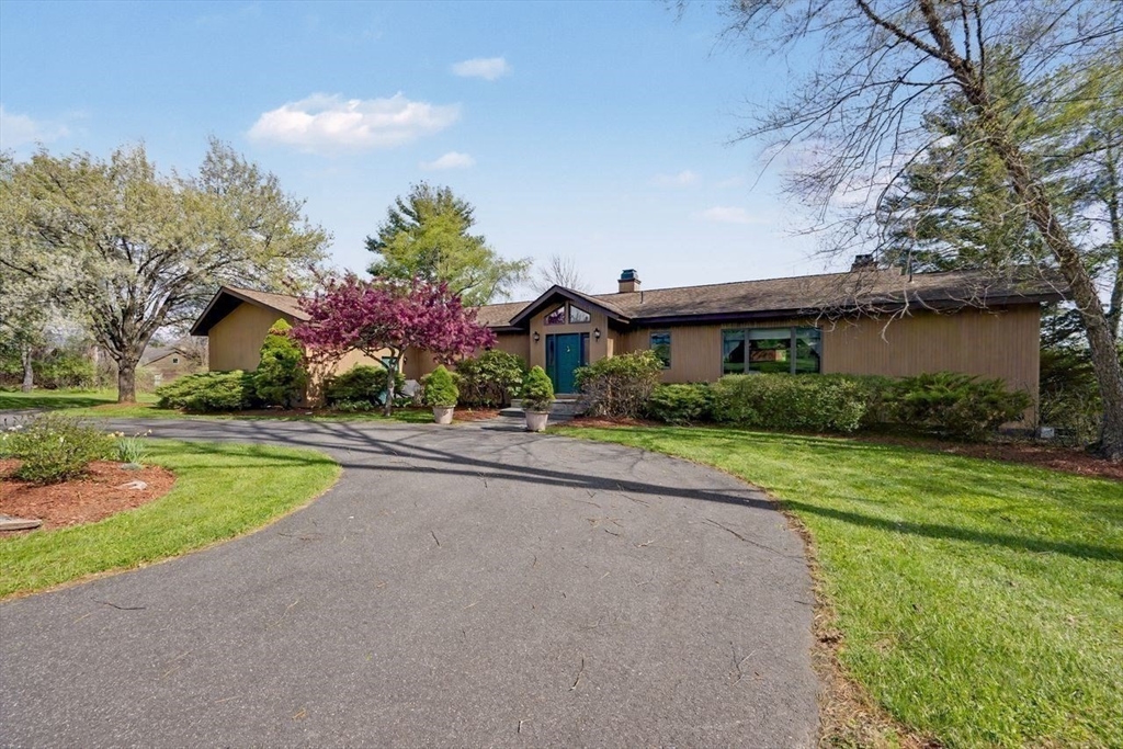 37 Kalliste Hill