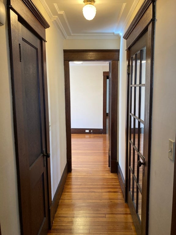 10-12 Dewey Ct, Northampton, MA, 10-12 Dewey Ct, Northampton, MA Photo #7