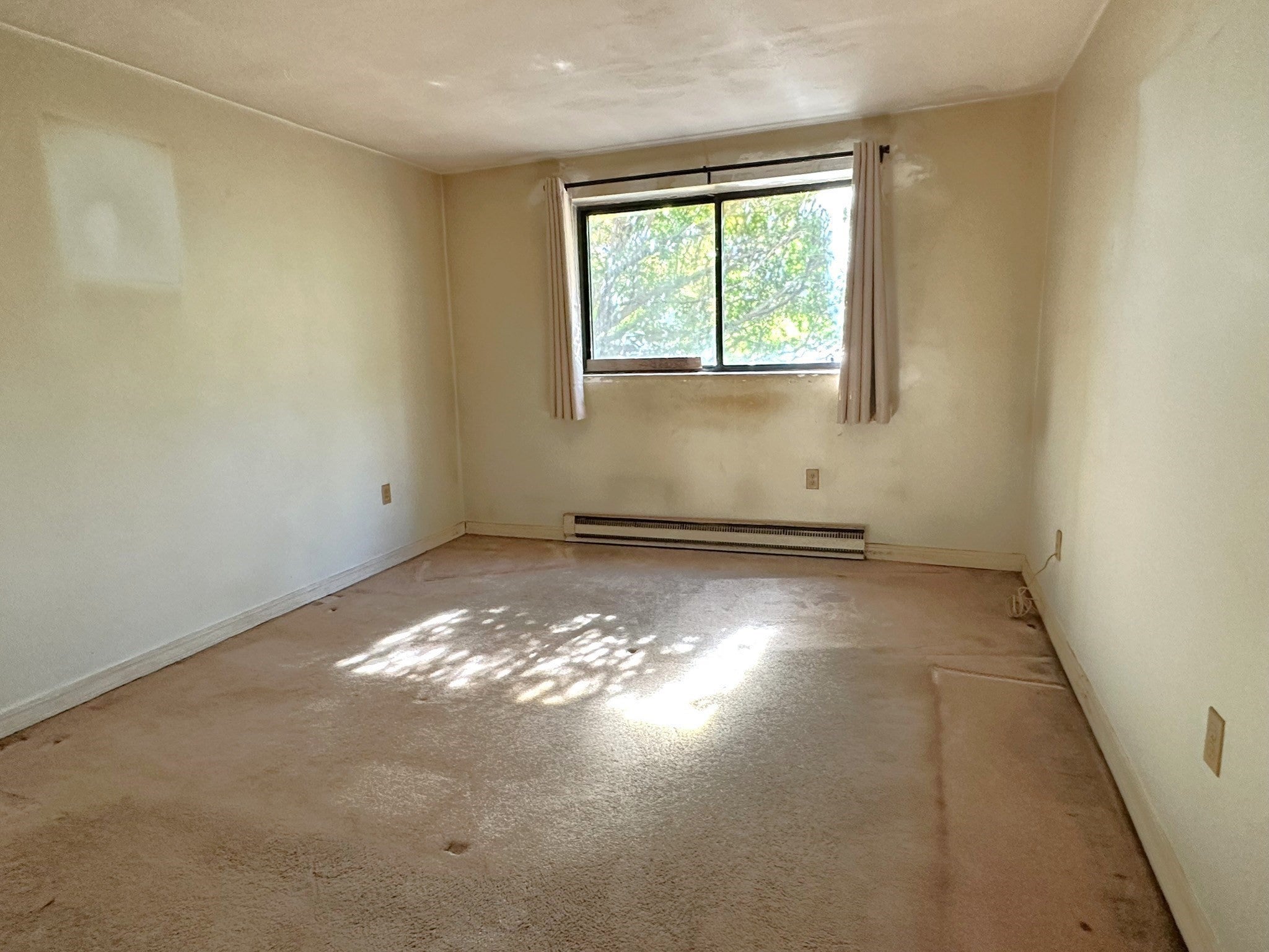 69 Milliken Ave #1A, Franklin, MA Photo #10