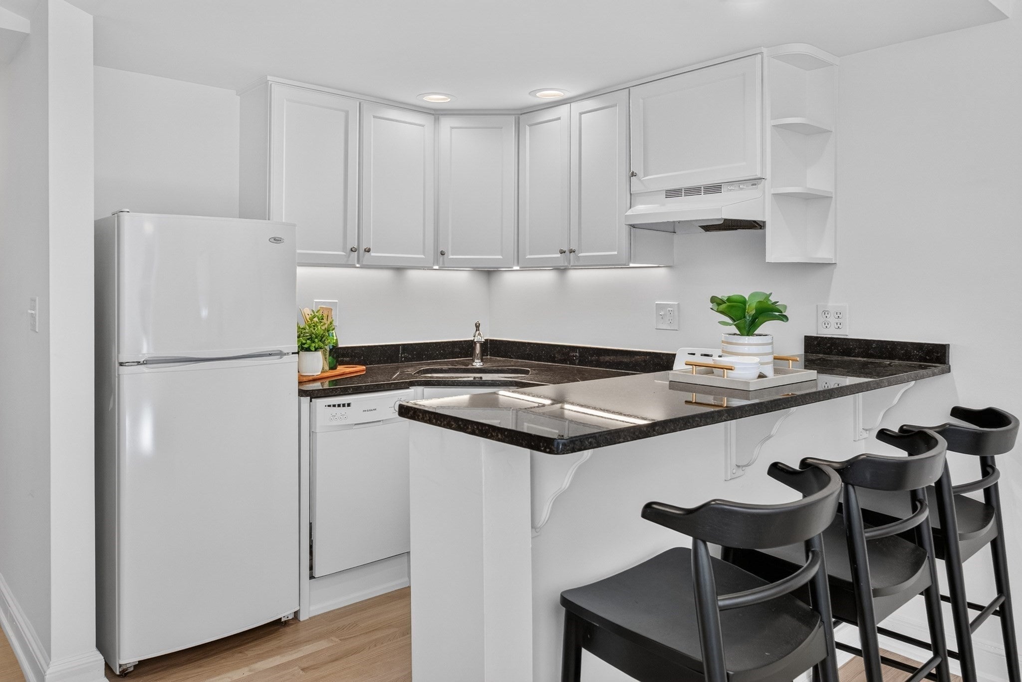 176 Commonwealth AVE #3, Boston, MA Photo #9