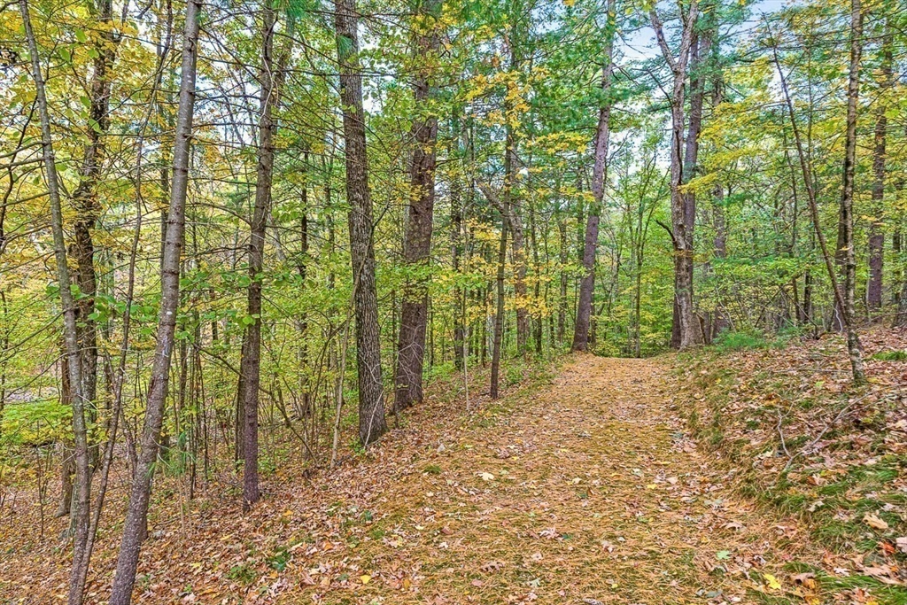 70 Wilsondale St, Dover, MA Photo #5