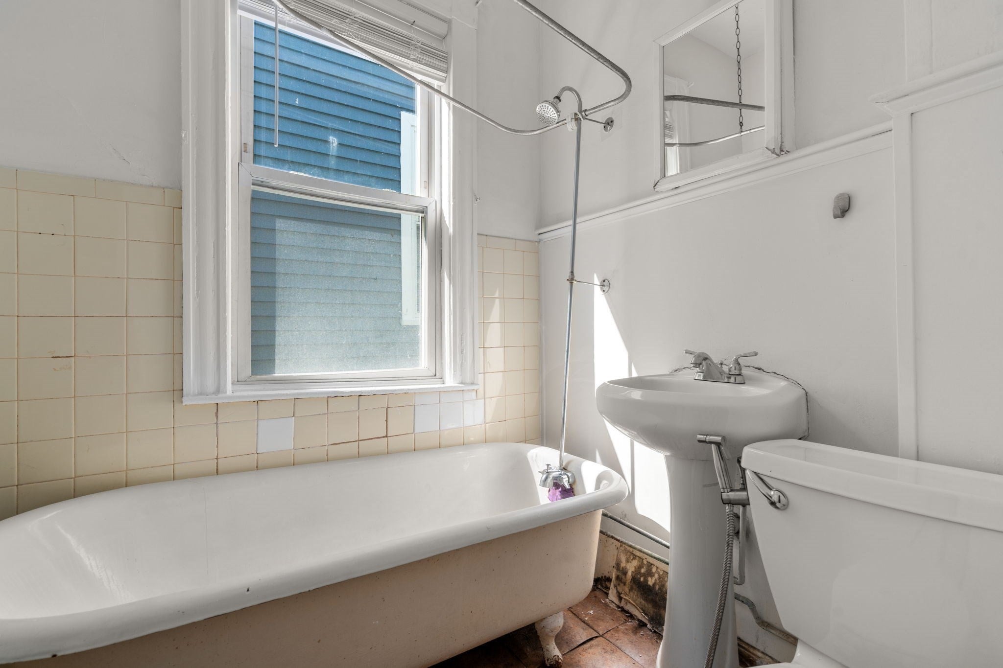 735 Parker Street, Boston, MA Photo #8