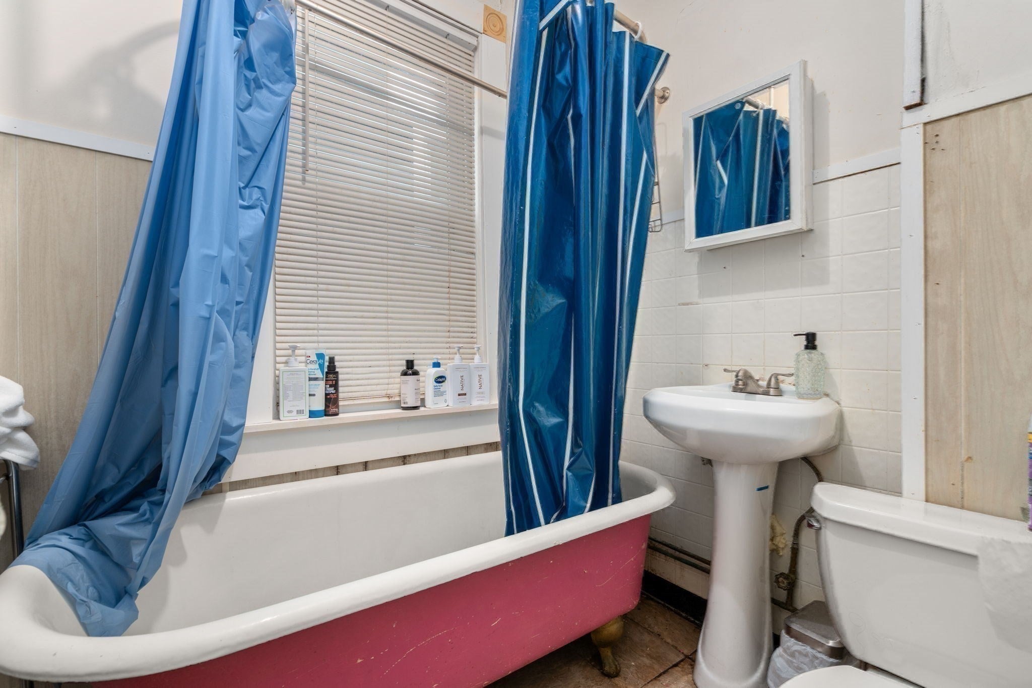 735 Parker Street, Boston, MA Photo #24