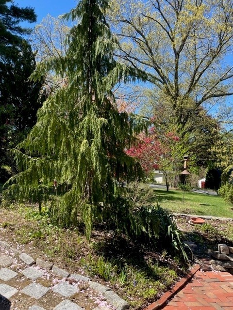 23 Howe Ave