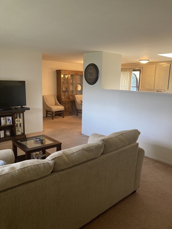 6 Mulberry Dr