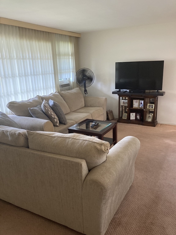 6 Mulberry Dr
