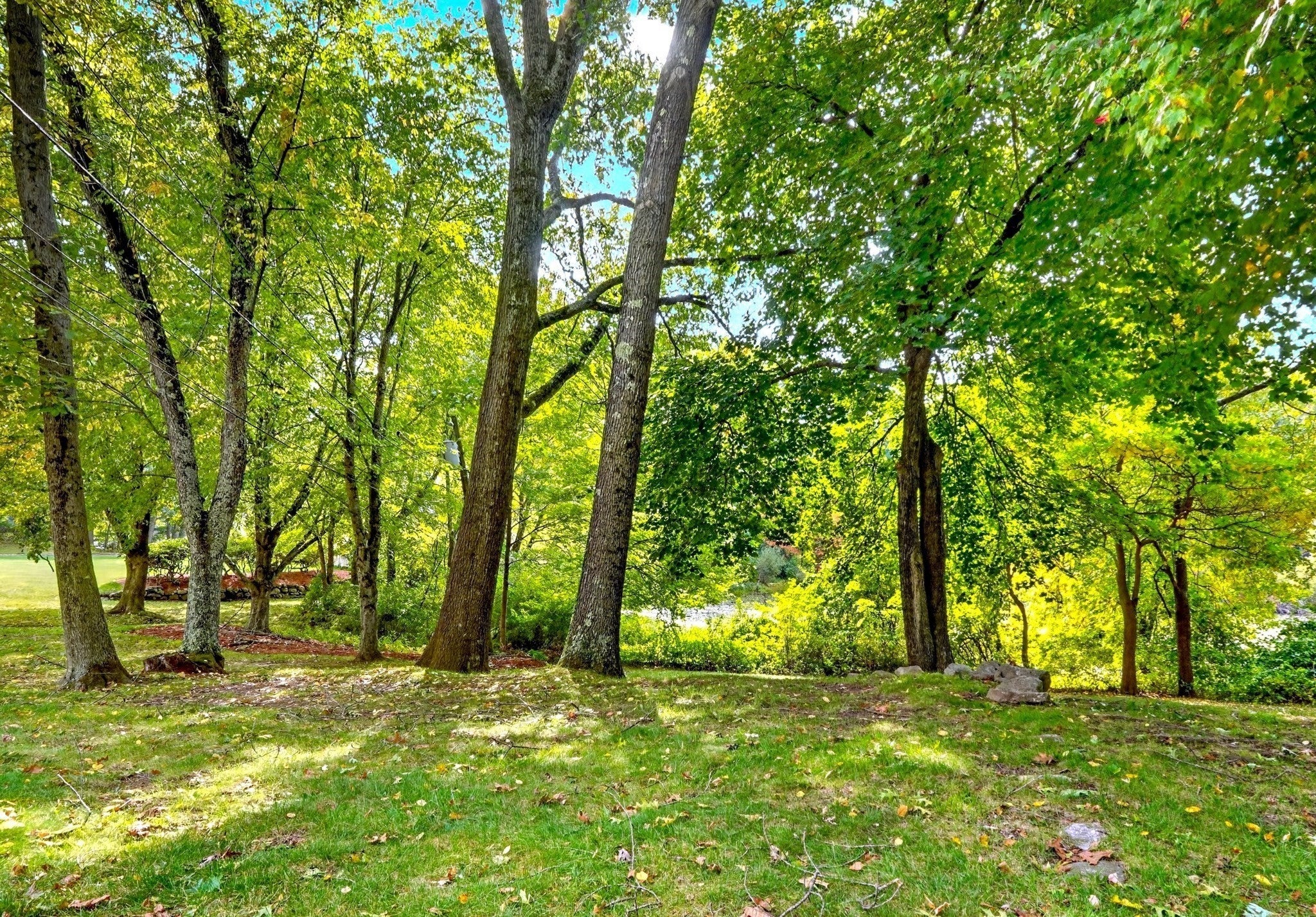 96 Sweetwater Ave #9, Bedford, MA, 96 Sweetwater Ave #9, Bedford, MA Photo #24