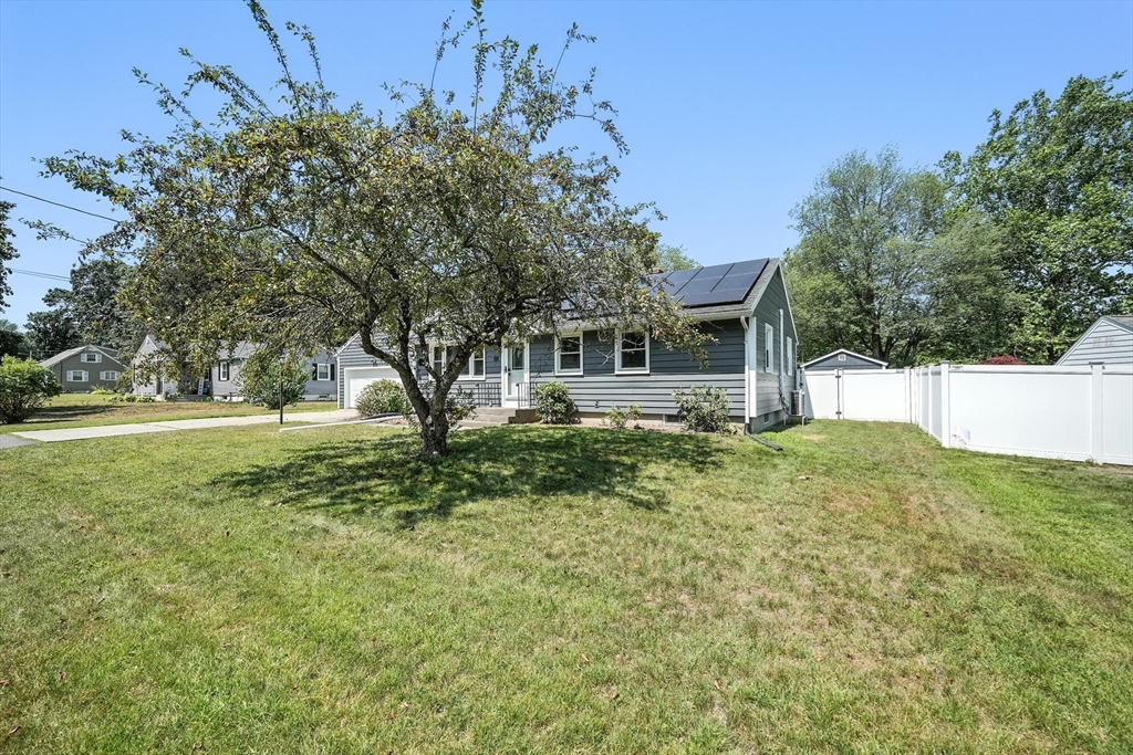 98 Mildred Ave