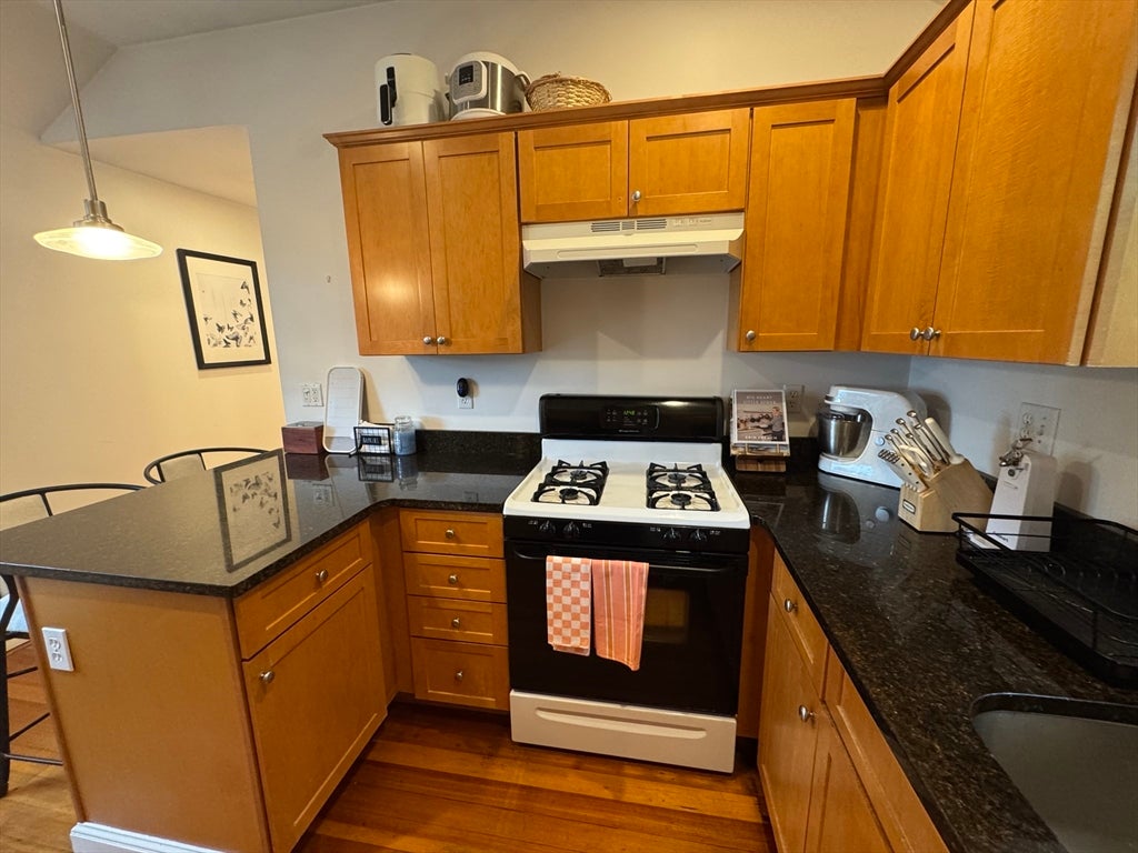 113 Corey Street #2, Boston, MA Photo #8
