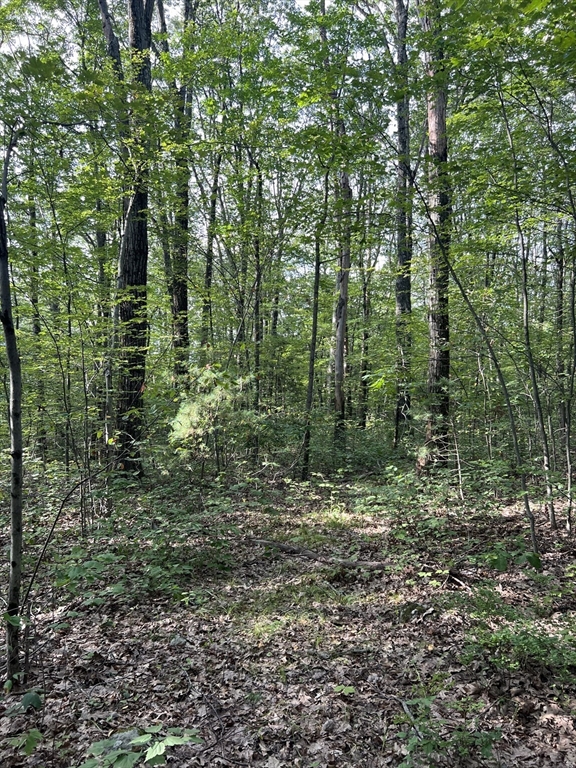 LOT 7 Southbridge Rd
