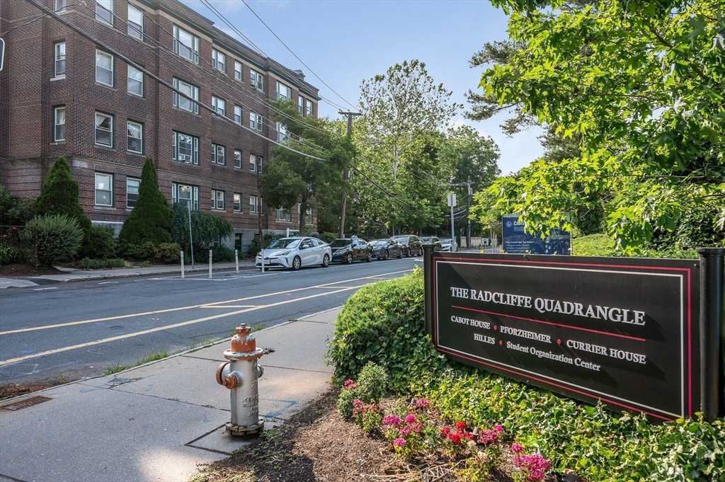52 Garden St #B2, Cambridge, MA Photo #16