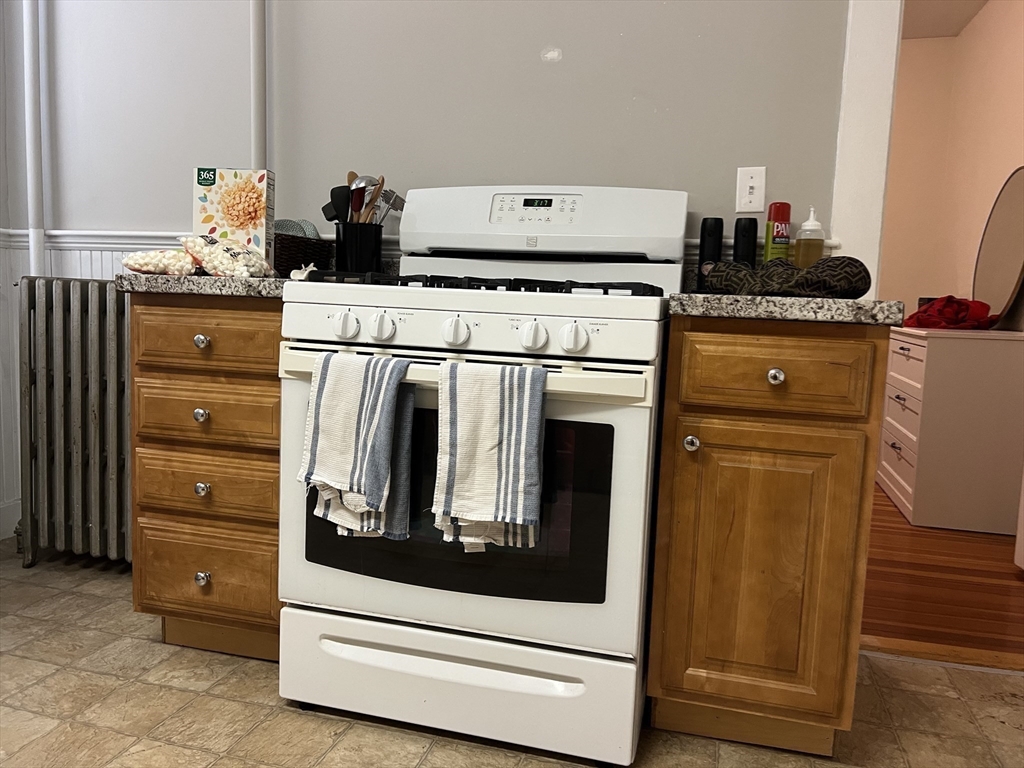 229 Belmont Street #4, Belmont, MA Photo #11