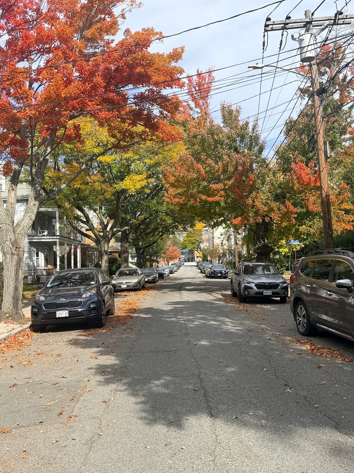 50 Vinal Ave #1, Somerville, MA, 50 Vinal Ave #1, Somerville, MA Photo #35