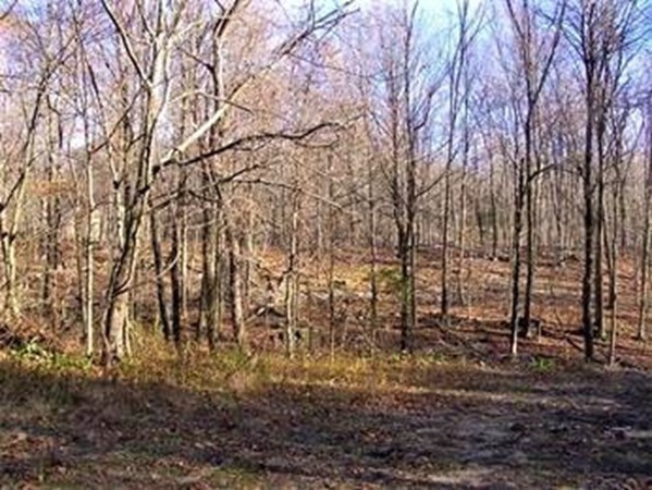 Photo 1 of 4 — 474-480 Mountain Road, Wilbraham, MA 01095