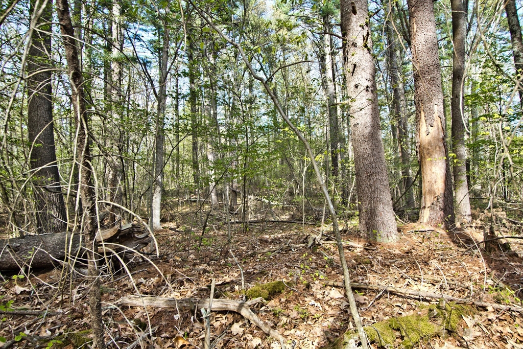 Lot A Kiwanis Beach Rd