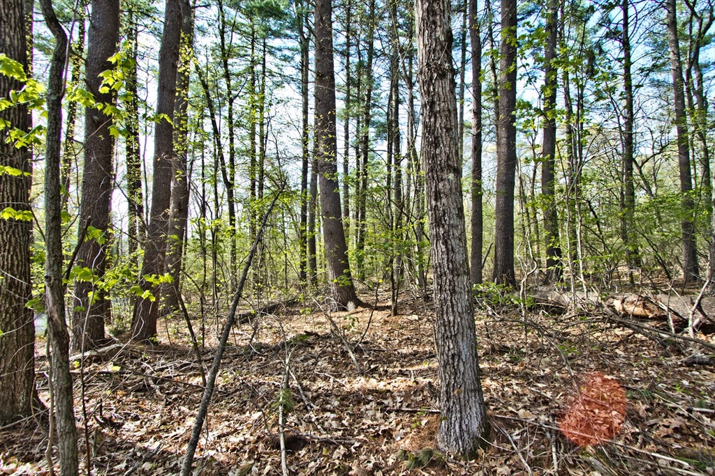 Lot A Kiwanis Beach Rd
