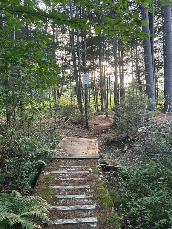 26 Bear Hill Rd, Hinsdale, MA Photo #3