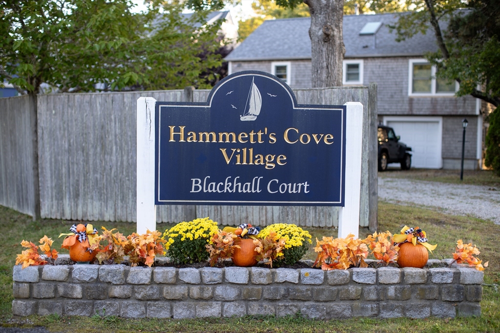4 Blackhall Ct