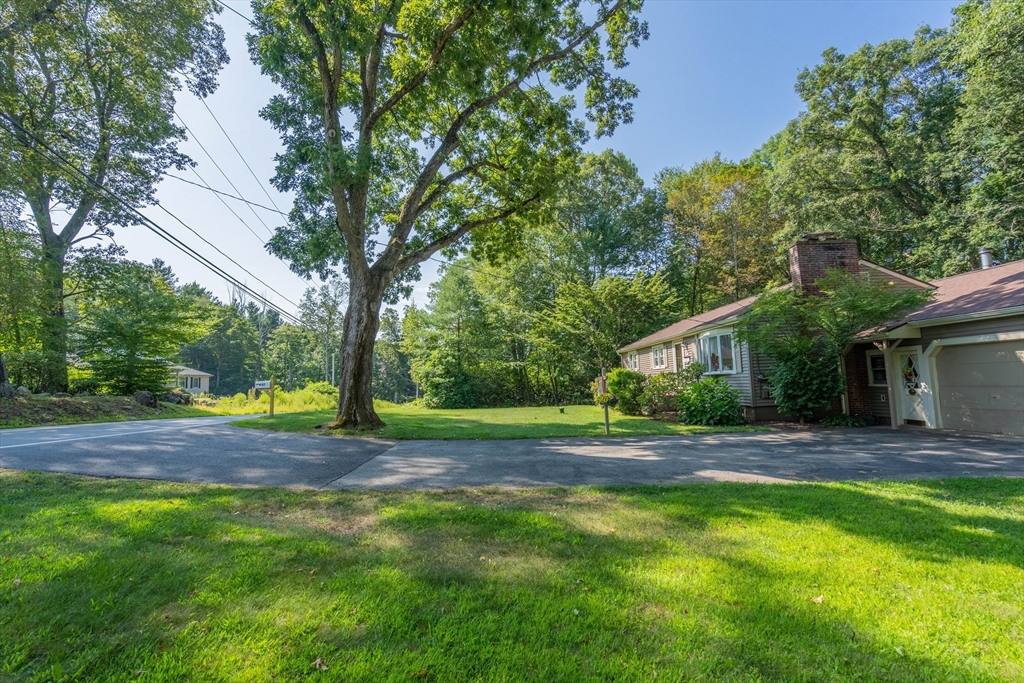 47 Paxton Road