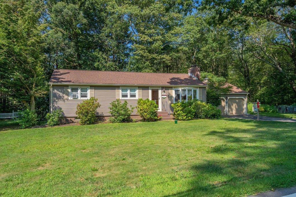 47 Paxton Road