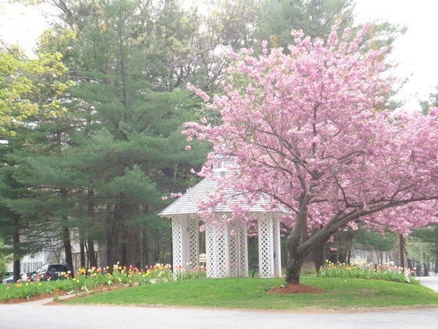 328 Wellman Ave #328, Chelmsford, MA Photo #27