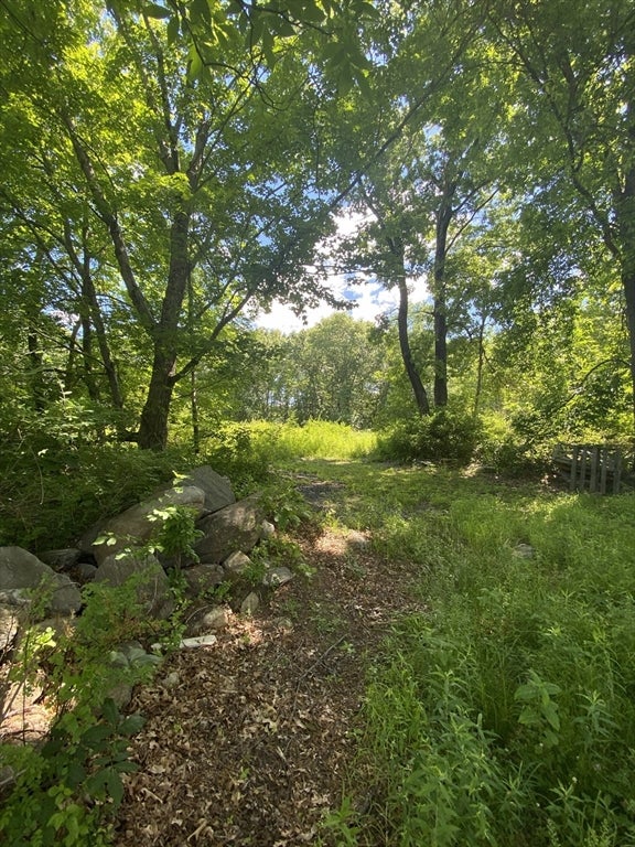 Lt 27b1a b Pennie Lane