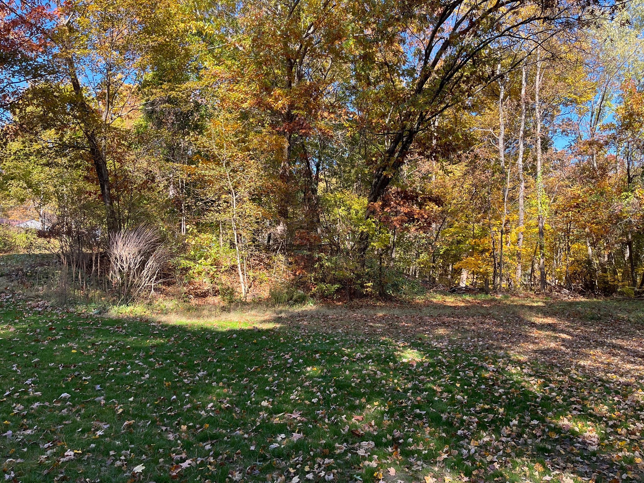 42 E Prescott Street, Westford, MA, 42 E Prescott Street, Westford, MA Photo #42