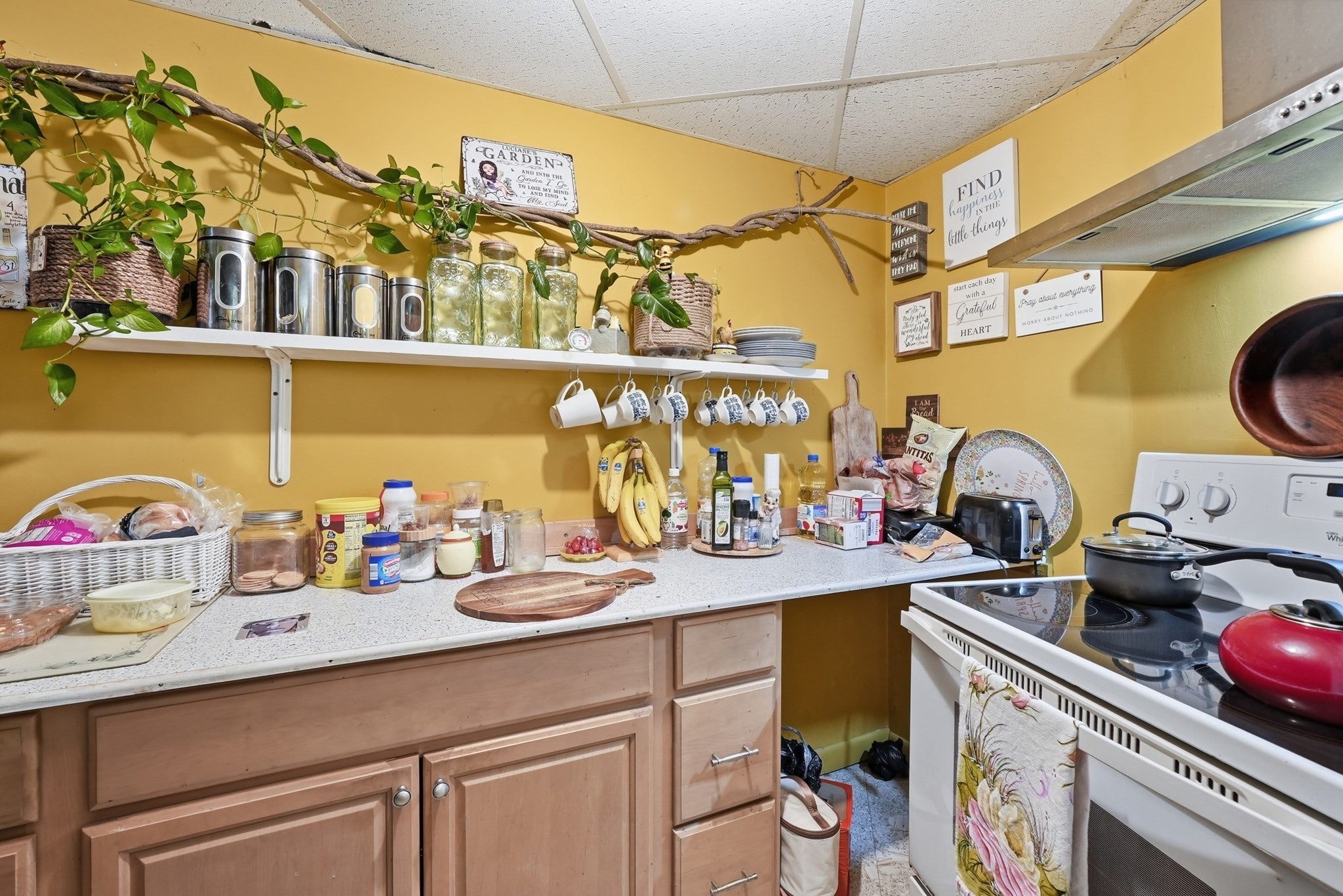 243 Oak St, Holliston, MA, 243 Oak St, Holliston, MA Photo #29