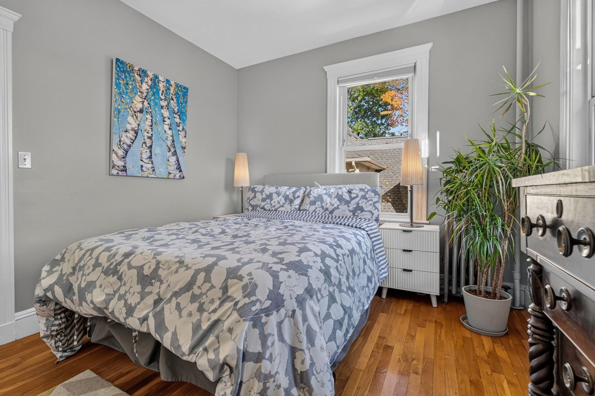 11 Sedgwick Street #9, Boston, MA, 11 Sedgwick Street #9, Boston, MA Photo #16