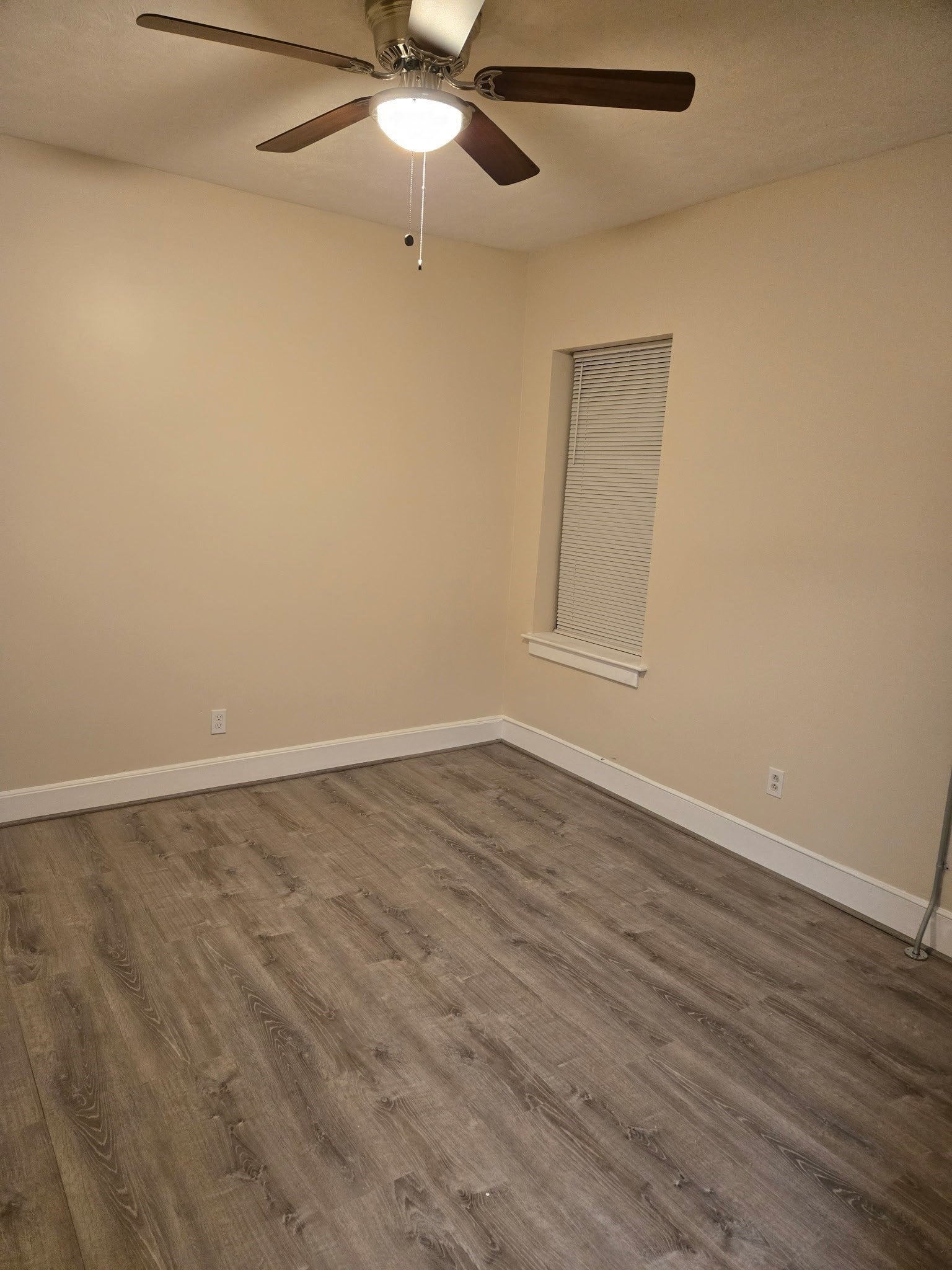 1111-1115 Blue Hill Avenue #10, Boston, MA, 1111-1115 Blue Hill Avenue #10, Boston, MA Photo #5