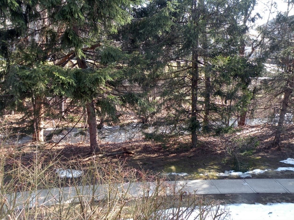 346 Neponset Street F